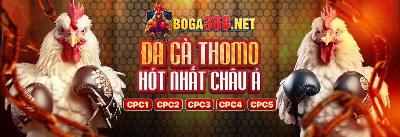 Cá Cược Thể Thao Mới tại pkwin casino