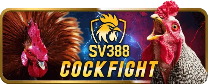 Cá cược thể thao PKWIN Casino